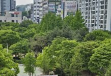 장애와 비장애 아동이 함께 어울리는 포용형 놀이공간 조성. 경기도, ‘무장애 통합놀이터’ 1호 구리시에 개장