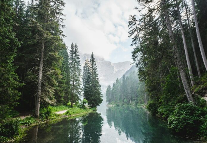 Photo by Luca Bravo body of water surrounded by pine trees during daytime