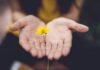‘마음 챙김 걷기’, 일상 속 스트레스 완화 트렌드로 떠오르다 selective focus photography of woman holding yellow petaled flowers