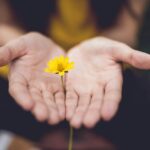 ‘마음 챙김 걷기’, 일상 속 스트레스 완화 트렌드로 떠오르다 selective focus photography of woman holding yellow petaled flowers