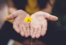 ‘마음 챙김 걷기’, 일상 속 스트레스 완화 트렌드로 떠오르다 selective focus photography of woman holding yellow petaled flowers