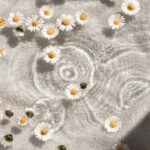 나를 돌보는 새로운 습관, 웰니스 문화가 바꾸는 일상 white and blue floral textile