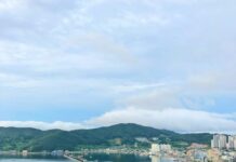 ‘슬로우 모닝’, 바쁜 일상 속 건강을 지키는 새로운 아침 루틴 city buildings near body of water under white clouds during daytime